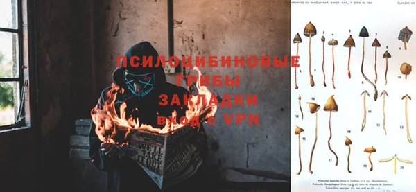 мдпв Богородицк