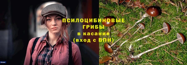 мдпв Богородицк