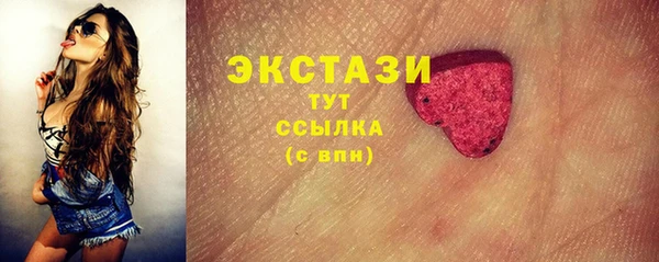 мдпв Богородицк