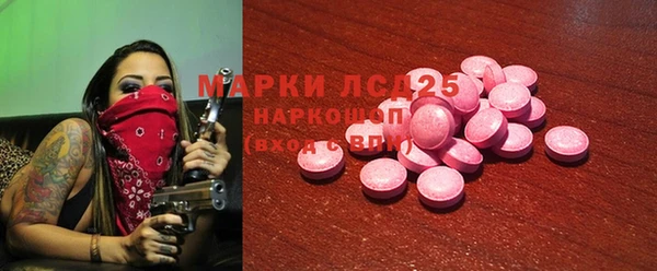 мдпв Богородицк