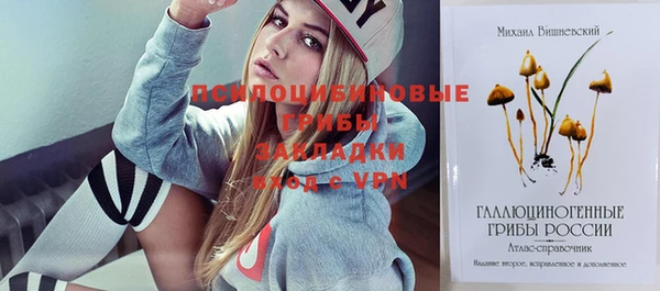 соль курить ск Богданович