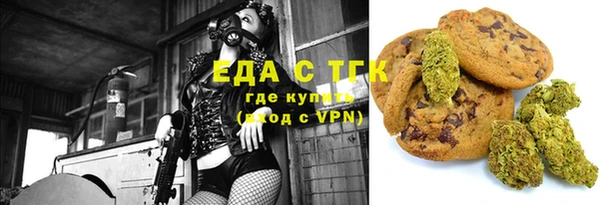 мдпв Богородицк