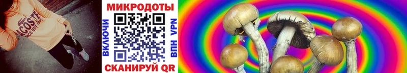Псилоцибиновые грибы MAGIC MUSHROOMS  MEGA вход  Ижевск  дарнет шоп 